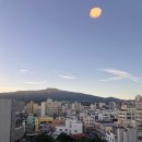 제주엠 | 제주 서귀포 가성비 호텔 추천 : 올레시장 앞 엠스테이 호텔 제주 후기(+ 루프탑 수영장 있음)