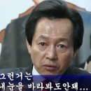 애드390 티스토리