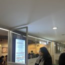 코코이찌방야 시청대한상공회의소점 | 내돈내산 코코이찌방야 시청대한상공회의소점에서 특별한 점심 한 끼 🍛