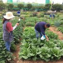 수원-1210 이미지