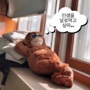 순천시푸드뱅크 | 4월, 쉬었음청년에서 다시 회사의 노예로