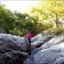 하양하양 이미지