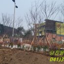 신성대학 부설유치원 이미지