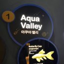 아쿠아빌딩 이미지