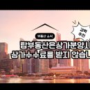 우미123부동산공인중개사사무소 네이버블로그