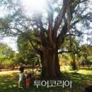 폴레폴레 - 중구 | 폴레폴레