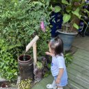 동치골 허브 야생화 마을 이미지