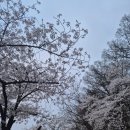 운동장길(정하동) 이미지
