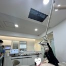 봄봄소아치과의원 이미지