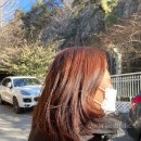 예닮미용실 - 군포시 당산로 28 | 예닮미용실