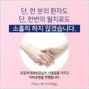 라임나무 이미지