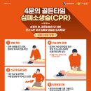 보듯 이미지