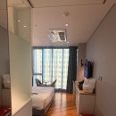 호텔 페이토 | [숙박_내돈내산] 호텔페이토강남 디럭스더블 후기