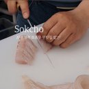 속초회포장 네이버블로그