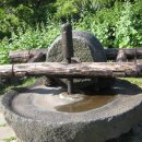 진 약국 이미지