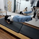 쌍떼 이미지