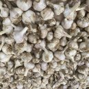 홍산농장 이미지