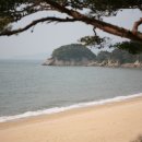 아버지의바다 이미지