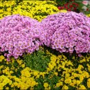 앗~~싸노래방 이미지