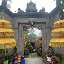 한누리농장 | 허니문 #9) 한누리여행사 발리 6일차 관광 [커피농장]