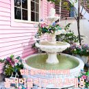 올더모어 | 합정 디저트 카페 올더어글리쿠키 벽돌케이크 꾸덕한 쿠키 맛집