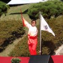 태극힐링 이미지