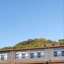 쌍계초등학교 | 시골학교 쌍계초등학교의 어느가을 하교시간 풍경..