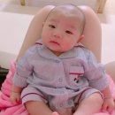 루비 애견샵 이미지