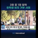 대한법률행정사합동사무소 네이버블로그
