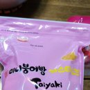 꽁쓰 이미지