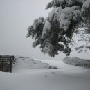 산성체육관 이미지