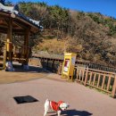 병산빛물꿈테마길 | 기장가볼만한곳..#대변장군멸치회촌#(강아지동반)병산저수지빛물꿈테마길..2024.12.18