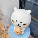 홍대 수족관 이미지