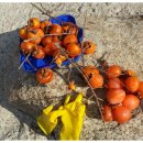 산청하루 이미지