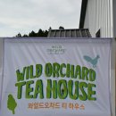 갈산2리영농조합 | 제주 &#39;와일드 오차드 티 페스티벌&#39; 후기 - 티를 사랑한다면 꼭!