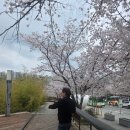 광산-송정-광산-11 | 광산구 장어 맛집 평동 유일장어 4명 10만 원 안 나온 가성비 끝판왕