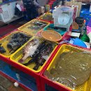 동이수산 이미지