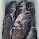 흑산후크