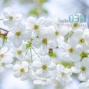 실로암안경 이미지