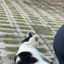 덕만농장 이미지