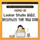 [멋쟁이 사자처럼 그로스 마케팅 부트캠프 2기] 23일차_Looker Studio 실습2, 머신러닝의 기본 개념 이해