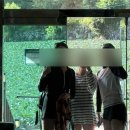 횡성펜션 숲속의쥬얼리 이미지