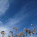 백수광부 이미지