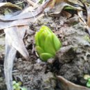 노을과포도향기 이미지