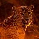 송현동 그집 이미지