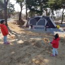 강화도아침숲속캠핑장 이미지