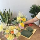 사파동317 이미지