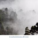 돈우목장 이미지