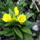 봄소아청소년과의원 이미지