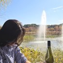 줄포만 게스트하우스 이미지